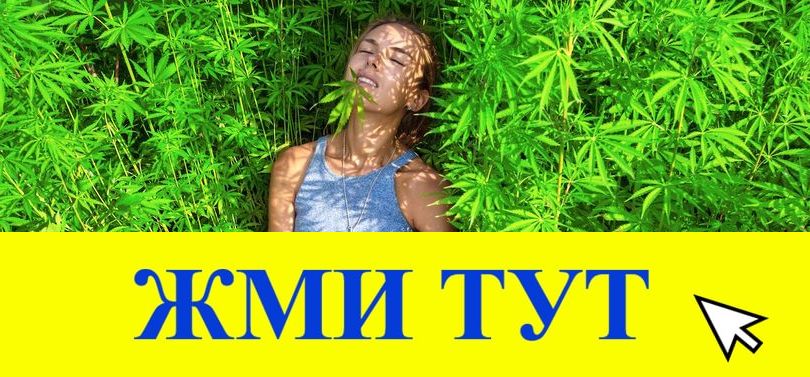 Купить наркотики в Тайге